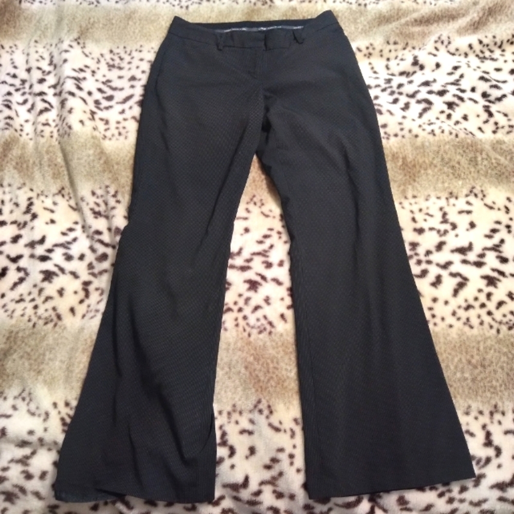 Express pin stripe dress pants